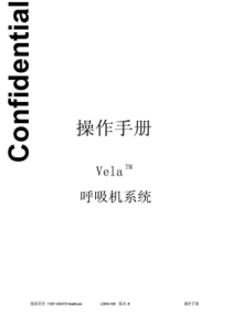 美国鸟牌vela