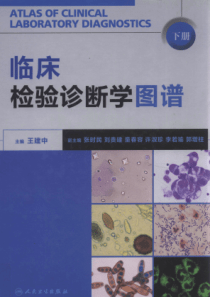临床尿液有形成分检验诊断学