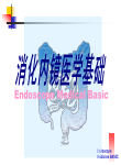 消化系统医学基础