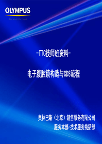 EndoEye构造与CDS流程