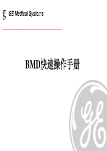 GE公司BMD快速操作手册